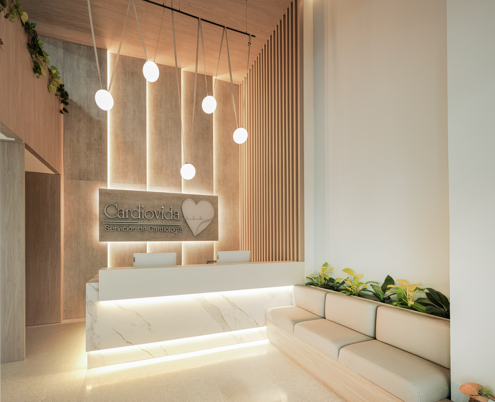 Cardiovida P1
